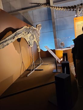 巨大恐竜展2024に投稿された画像（2024/8/9）