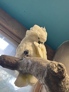 那須どうぶつ王国に投稿された画像（2024/8/9）