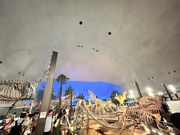 福井県立恐竜博物館に投稿された画像（2024/8/9）