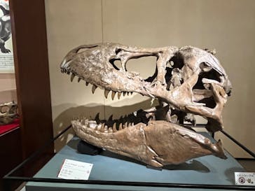 岐阜県博物館に投稿された画像（2024/8/9）