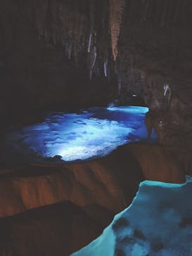 おきなわワールドに投稿された画像（2024/8/9）