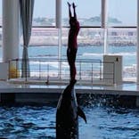 アクアワールド茨城県大洗水族館に投稿された画像（2024/8/9）