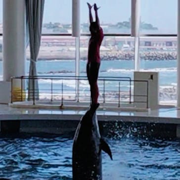 アクアワールド茨城県大洗水族館に投稿された画像（2024/8/9）