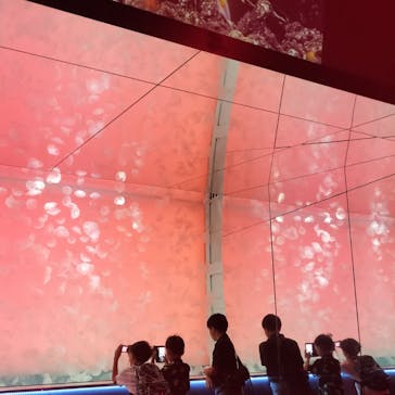 アクアワールド茨城県大洗水族館に投稿された画像（2024/8/9）