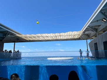 上越市立水族博物館 うみがたりに投稿された画像（2024/8/9）