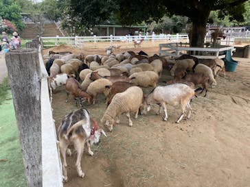 成田ゆめ牧場に投稿された画像（2024/8/9）
