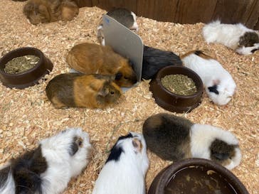 成田ゆめ牧場に投稿された画像（2024/8/9）