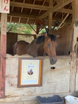 成田ゆめ牧場に投稿された画像（2024/8/9）