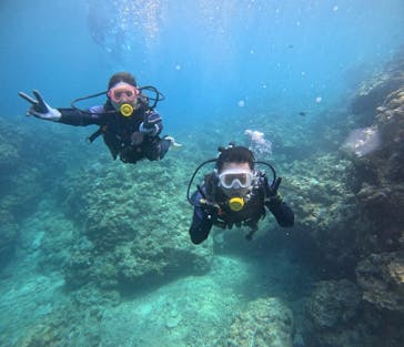 武藤潜水に投稿された画像（2024/8/9）