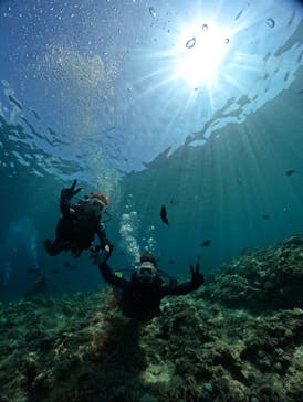 武藤潜水に投稿された画像（2024/8/9）