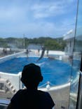 九十九島水族館海きららに投稿された画像（2024/8/9）