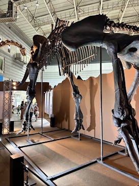 巨大恐竜展2024に投稿された画像（2024/8/9）