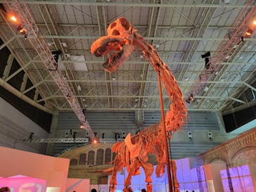 巨大恐竜展2024に投稿された画像（2024/8/9）