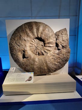 巨大恐竜展2024に投稿された画像（2024/8/9）