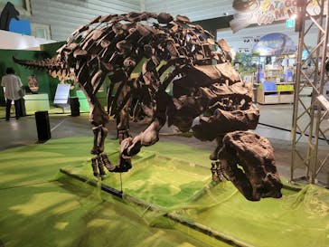 巨大恐竜展2024に投稿された画像（2024/8/9）