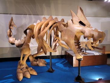 岐阜県博物館に投稿された画像（2024/8/9）