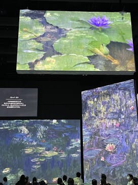 モネ＆フレンズ・アライブに投稿された画像（2024/8/9）