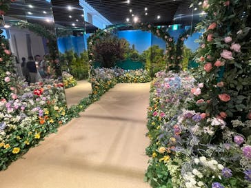 モネ＆フレンズ・アライブに投稿された画像（2024/8/9）