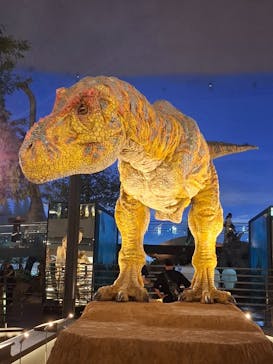 福井県立恐竜博物館に投稿された画像（2024/8/9）