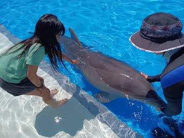 南知多ビーチランド＆南知多おもちゃ王国に投稿された画像（2024/8/9）