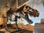 巨大恐竜展2024に投稿された画像（2024/8/9）