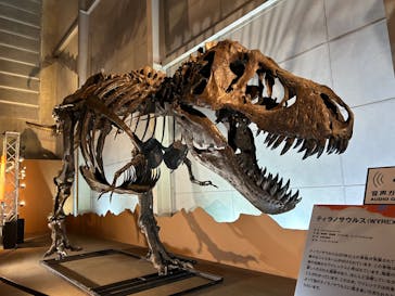 巨大恐竜展2024に投稿された画像（2024/8/9）