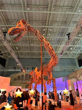 巨大恐竜展2024に投稿された画像（2024/8/9）