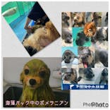 下田海中水族館に投稿された画像（2024/8/9）