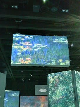 モネ＆フレンズ・アライブに投稿された画像（2024/8/9）