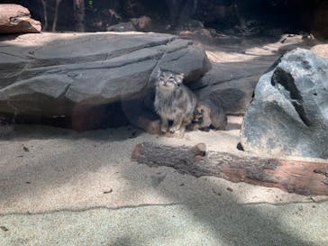 神戸どうぶつ王国に投稿された画像（2024/8/9）