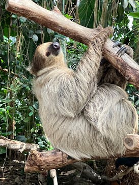 神戸どうぶつ王国に投稿された画像（2024/8/9）