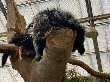 神戸どうぶつ王国に投稿された画像（2024/8/9）