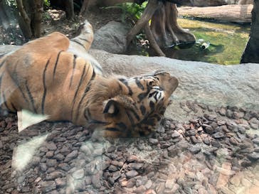 神戸どうぶつ王国に投稿された画像（2024/8/9）