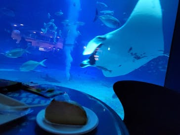 沖縄美ら海水族館に投稿された画像（2024/8/9）