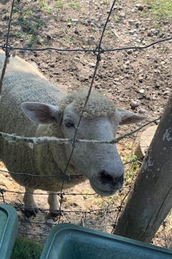 EnglishGardenローザンベリー多和田に投稿された画像（2024/8/9）