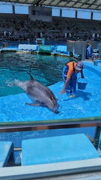 名古屋港水族館に投稿された画像（2024/8/9）