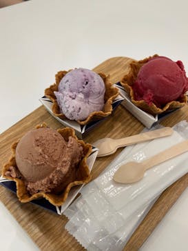 彫刻の森美術館に投稿された画像（2024/8/9）