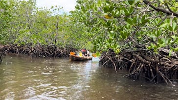 西表島 ADVENTURE PiPi（アドベンチャーピピ）に投稿された画像（2024/8/9）