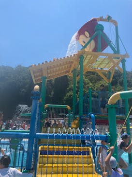 日本モンキーパークに投稿された画像（2024/8/9）