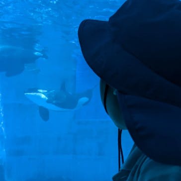 名古屋港水族館に投稿された画像（2024/8/9）