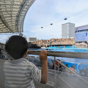 名古屋港水族館に投稿された画像（2024/8/9）