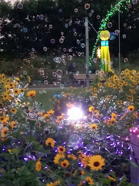 せんだい農業園芸センター　みどりの杜に投稿された画像（2024/8/9）