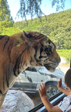 秋吉台自然動物公園 サファリランドに投稿された画像（2024/8/9）