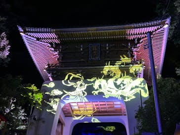 江の島シーキャンドルに投稿された画像（2024/8/9）