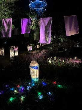 江の島シーキャンドルに投稿された画像（2024/8/9）