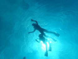 黄金崎ダイブセンターに投稿された画像（2024/8/9）