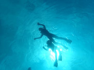 黄金崎ダイブセンターに投稿された画像（2024/8/9）