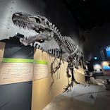 福井県立恐竜博物館に投稿された画像（2024/8/9）