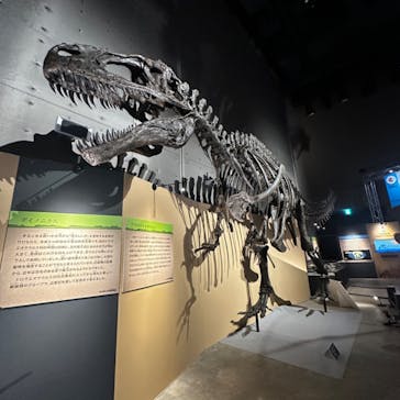 福井県立恐竜博物館に投稿された画像（2024/8/9）