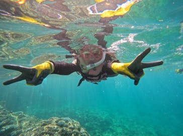 武藤潜水に投稿された画像（2024/8/9）